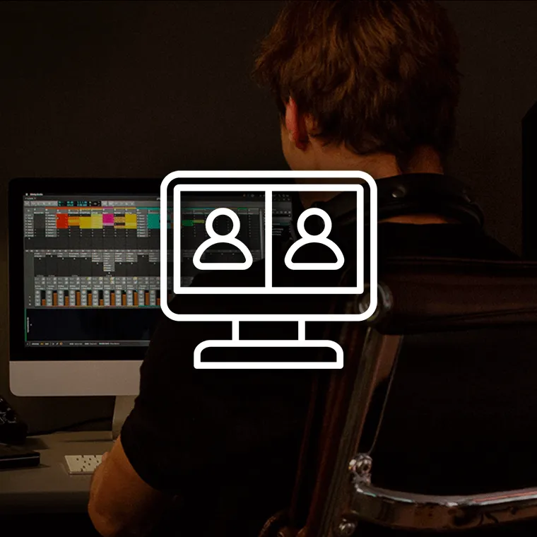 antelope-audio-expert-guidance-1-on-1-60-minuten-einzelcoaching image 1