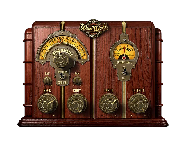 sound-machine-wood-works-uad-plug-in-f-r-akustikgitarren-aufnahmen image 1